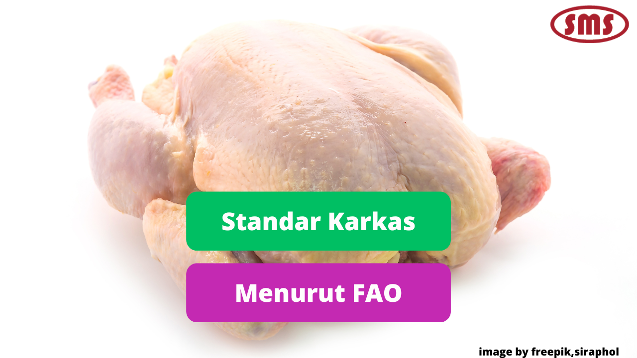 Syarat Karkas Ayam Broiler Dalam Aturan FAO